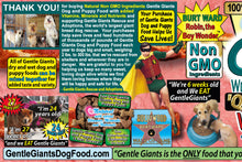 Load image into Gallery viewer, 24 lb. Gentle Giants 'Quality of Life' Feast for Meat Lovers - with Real Beef & Real Bacon -<br>Dog and Puppy Food<br>Natural, Non GMO Ingredients