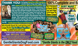 18 lb. Salmon - Gentle Giants 'Quality of Life' Feast for Seafood Lovers -<br>Dog and Puppy Food<br>Natural, Non GMO Ingredients