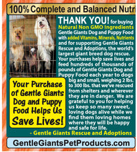 Load image into Gallery viewer, 3 lb. Small Bites Salmon - Gentle Giants 'Quality of Life' Feast for Seafood Lovers -<br>Dog and Puppy Food<br>Natural, Non GMO Ingredients