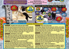 Load image into Gallery viewer, 3 lb. Small Bites Salmon - Gentle Giants 'Quality of Life' Feast for Seafood Lovers -<br>Dog and Puppy Food<br>Natural, Non GMO Ingredients