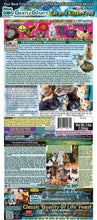 Load image into Gallery viewer, 3 lb. Chicken with Fish - Gentle Giants Classic &#39;Quality of Life&#39; Feast -&lt;br&gt;Cat and Kitten Food&lt;br&gt;Natural, Non GMO Ingredients
